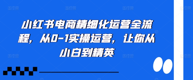 小红书电商精细化运营全流程，从0-1实操运营，让你从小白到精英-有道资源网