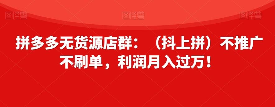 拼多多无货源店群：（抖上拼）不推广不刷单，利润月入过万！【揭秘】-有道资源网