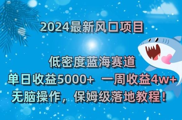 2024最新风口项目，低密度蓝海赛道，单日收益5000+，一周收益4w+！【揭秘】-有道资源网