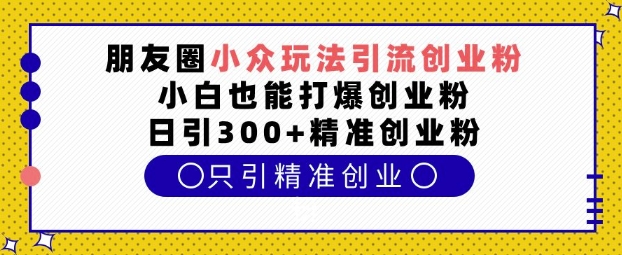 朋友圈小众玩法引流创业粉，小白也能打爆创业粉，日引300+精准创业粉【揭秘】-有道资源网