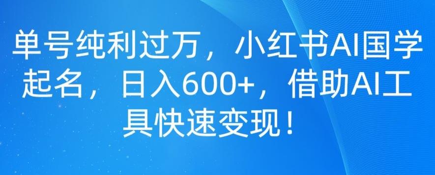 单号纯利过万，小红书AI国学起名，日入600+，借助AI工具快速变现-有道资源网