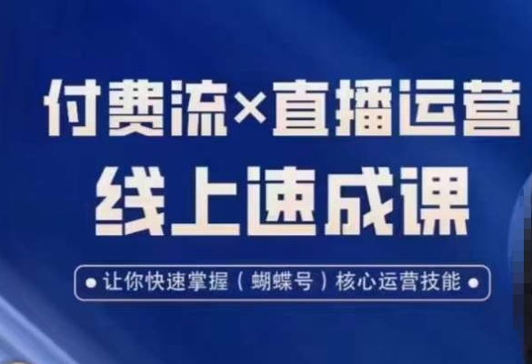 视频号付费流实操课程，付费流✖️直播运营速成课，让你快速掌握视频号核心运营技能-有道资源网