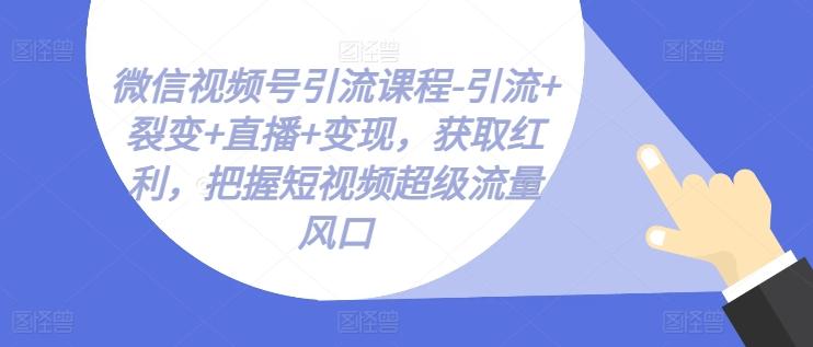 微信视频号引流课程-引流+裂变+直播+变现，获取红利，把握短视频超级流量风口-有道资源网