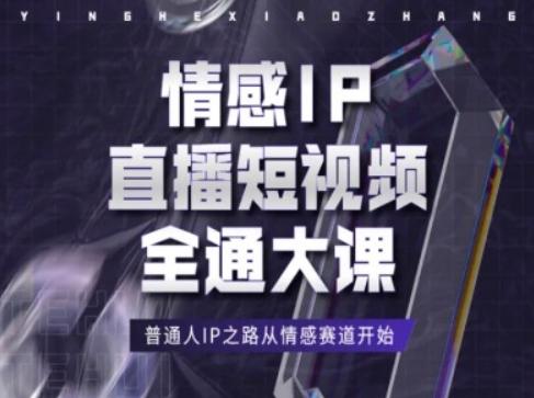 情感IP直播短视频全通大课，普通人IP之路从情感赛道开始-有道资源网