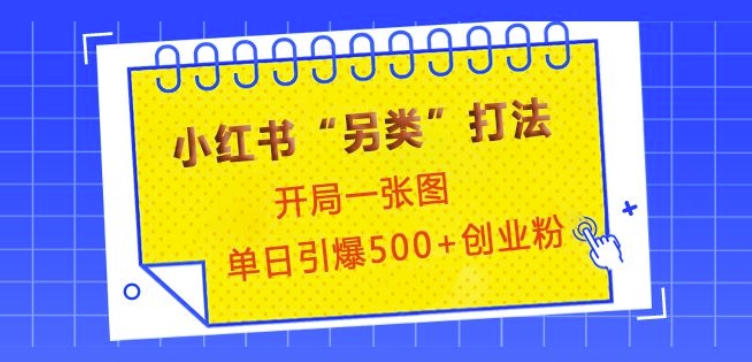 小红书“另类”打法，开局一张图，单日引爆500+精准创业粉【揭秘】-有道资源网