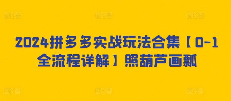 2024拼多多实战玩法合集【0-1全流程详解】照葫芦画瓢-有道资源网