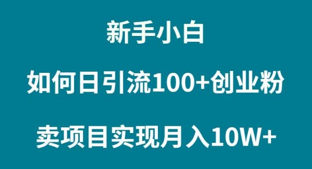 (9556期)新手小白如何通过卖项目实现月入10W+-有道资源网