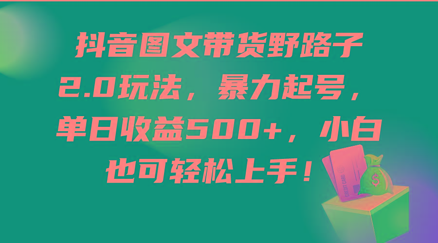 (9790期)抖音图文带货野路子2.0玩法，暴力起号，单日收益500+，小白也可轻松上手！-有道资源网