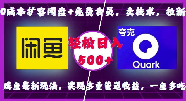 0成本扩容网盘+免费会员，卖技术，拉新，咸鱼最新玩法，实现多重管道收益，一鱼多吃，轻松日入500+-有道资源网