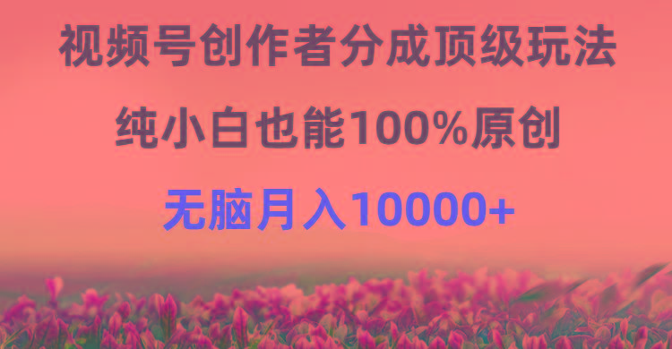 (9608期)视频号创作者分成顶级玩法，纯小白也能100%原创，无脑月入10000+-有道资源网