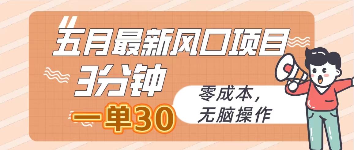 五月最新风口项目，3分钟一单30，零成本，无脑操作-有道资源网