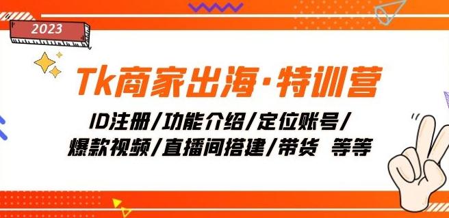 Tk商家出海·特训营：ID注册/功能介绍/定位账号/爆款视频/直播间搭建/带货-有道资源网