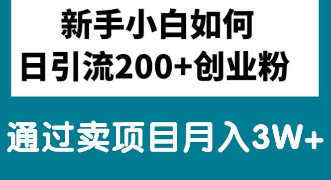 新手小白日引流200+创业粉,通过卖项目月入3W+-有道资源网