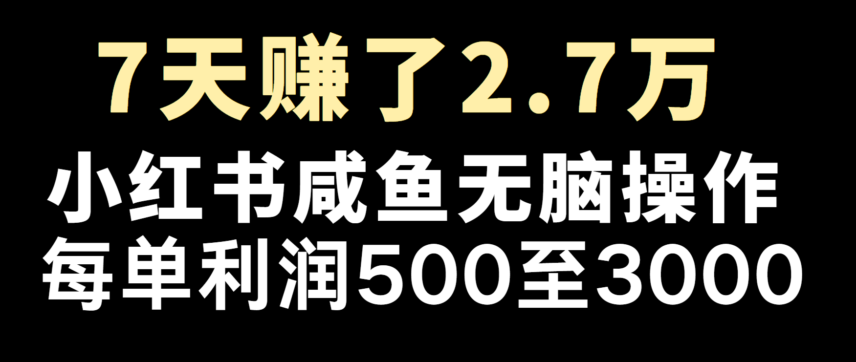 冷门暴利，超级简单的项目0成本玩法，每单在500至4000的利润-有道资源网