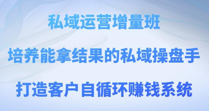 私域运营增量班，培养能拿结果的私域操盘手，打造客户自循环赚钱系统-有道资源网