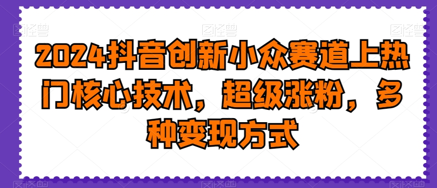 2024抖音创新小众赛道上热门核心技术，超级涨粉，多种变现方式【揭秘】-有道资源网