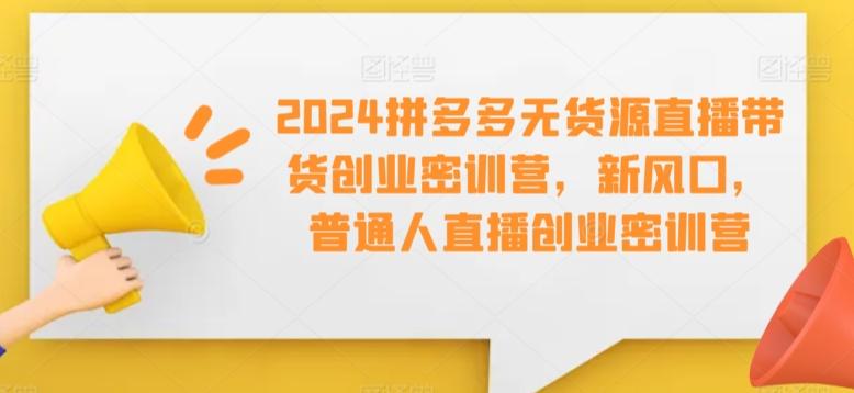 2024拼多多无货源直播带货创业密训营，新风口，普通人直播创业密训营-有道资源网