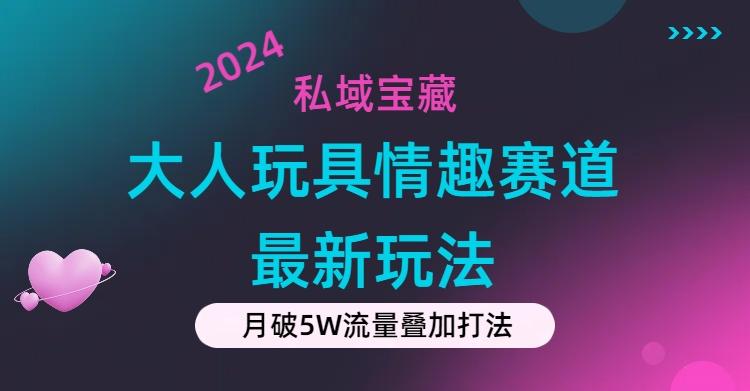 私域宝藏：大人玩具情趣赛道合规新玩法，零投入，私域超高流量成单率高-有道资源网