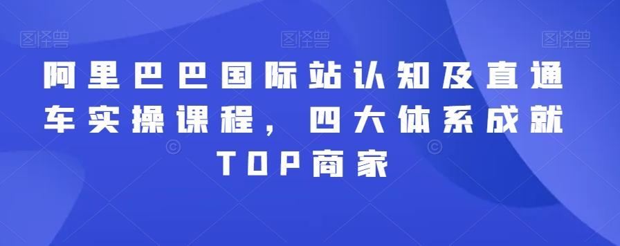 阿里巴巴国际站认知及直通车实操课程，四大体系成就TOP商家-有道资源网