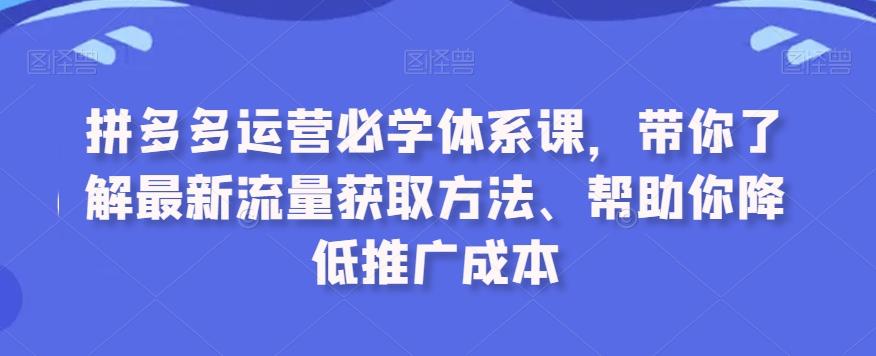 拼多多运营必学体系课，带你了解最新流量获取方法、帮助你降低推广成本-有道资源网