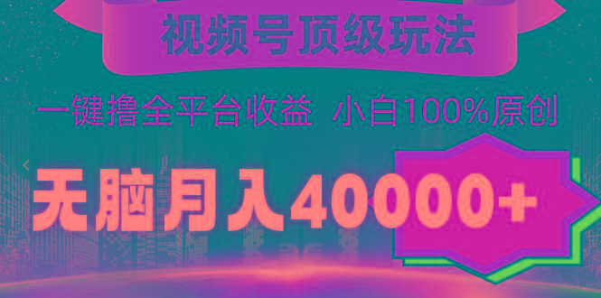 (9281期)视频号顶级玩法，无脑月入40000+，一键撸全平台收益，纯小白也能100%原创-有道资源网