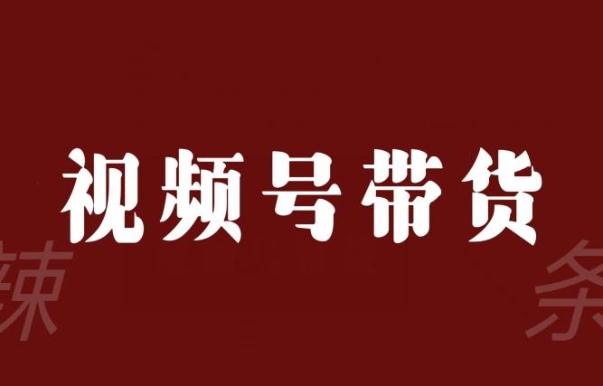 视频号带货联盟，赚信息差的带货钱，只需手机随时随地都可以做！-有道资源网