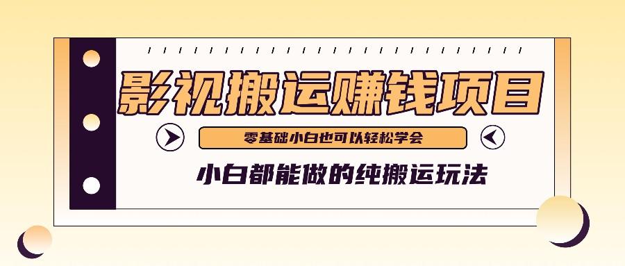 手把手教你操作影视搬运项目，小白都能做零基础也能赚钱-有道资源网