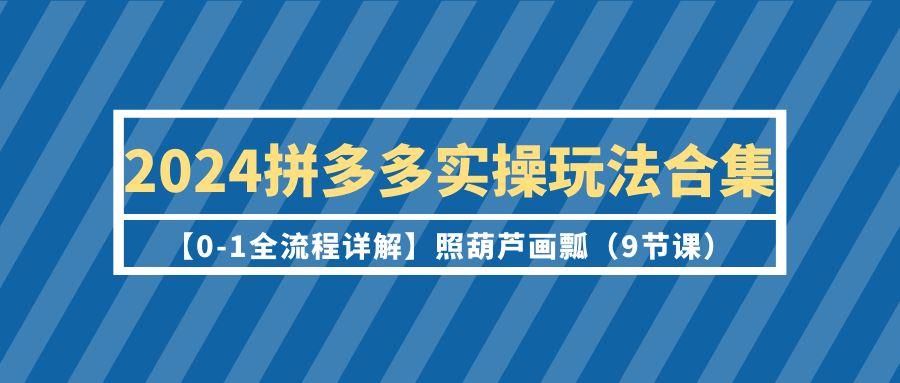 (9559期)2024拼多多实操玩法合集【0-1全流程详解】照葫芦画瓢(9节课)-有道资源网