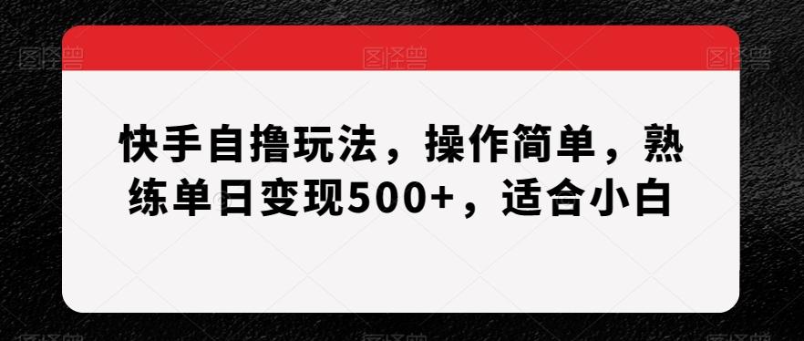 快手自撸玩法，操作简单，熟练单日变现500+，适合小白【揭秘】-有道资源网