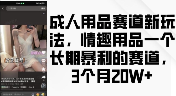 成人用品赛道新玩法，情趣用品一个长期暴利的赛道，3个月收益20个【揭秘】-有道资源网