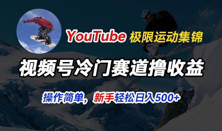 视频号冷门赛道撸收益，YouTube搬运极限运动集锦，暴力起号，操作简单流量高，轻松日入5张【揭秘】-有道资源网