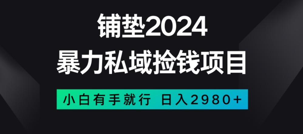 暴力私域捡钱项目，小白无脑操作，日入2980【揭秘】-有道资源网