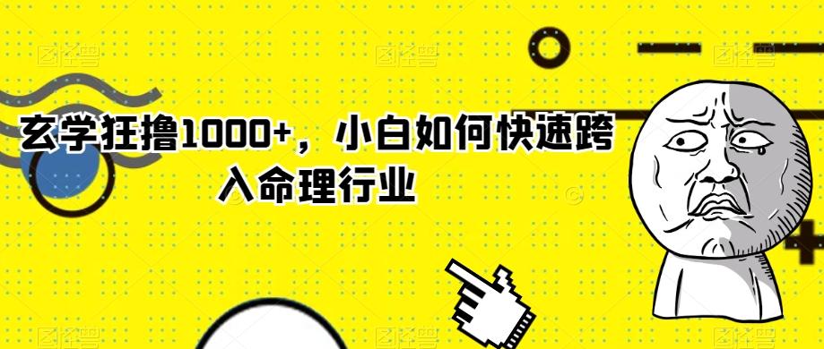 玄学狂撸1000+，小白如何快速跨入命理行业-有道资源网