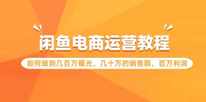 (9560期)闲鱼电商运营教程：如何做到几百万曝光，几十万的销售额，百万利润-有道资源网