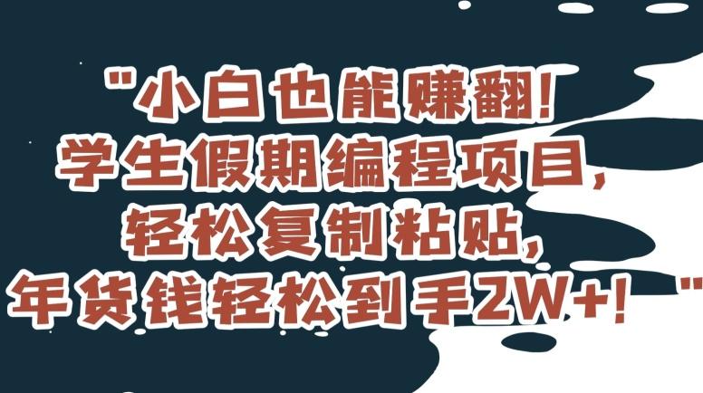 小白也能赚翻！学生假期编程项目，轻松复制粘贴，年货钱轻松到手2W+【揭秘】-有道资源网