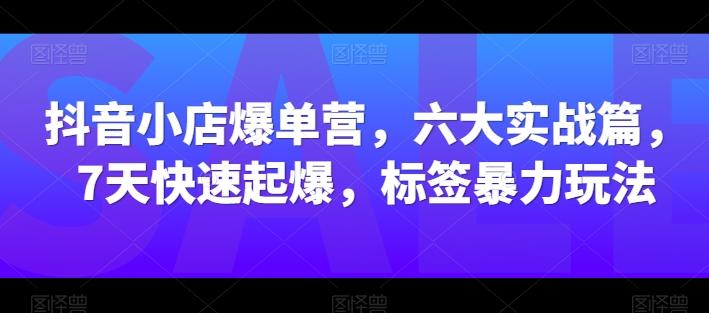 抖音小店爆单营，六大实战篇，7天快速起爆，标签暴力玩法-有道资源网