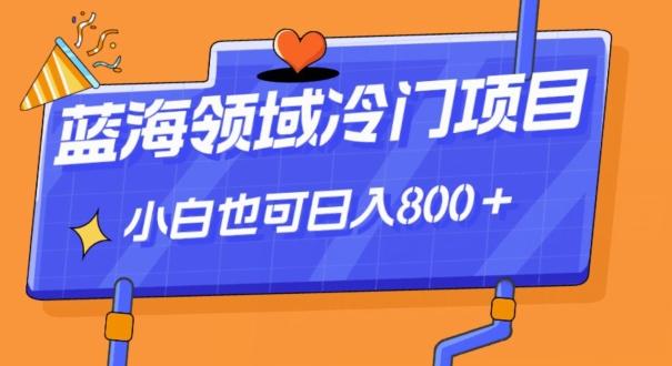 蓝海领域冷门赛道，一单39.9，日入800＋-有道资源网