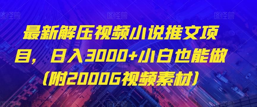 最新解压视频小说推文项目，日入3000+小白也能做（附2000G视频素材）【揭秘】-有道资源网