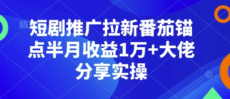 短剧推广拉新番茄锚点半月收益1万+大佬分享实操-有道资源网