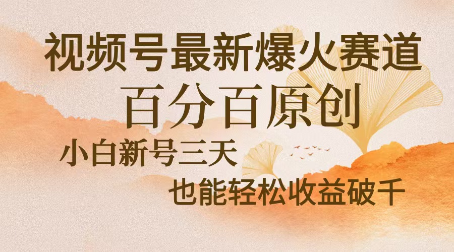 视频号最新爆火赛道，中老年粉深信不疑，百分百原创，新号三天收益轻松…-有道资源网