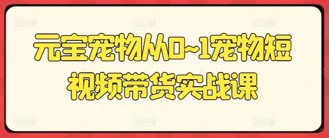 元宝宠物从0~1宠物短视频带货实战课-有道资源网