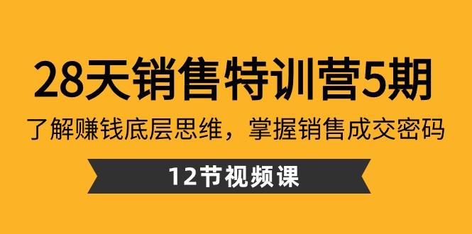 28天销售特训营5期：了解赚钱底层思维，掌握销售成交密码（12节课）-有道资源网