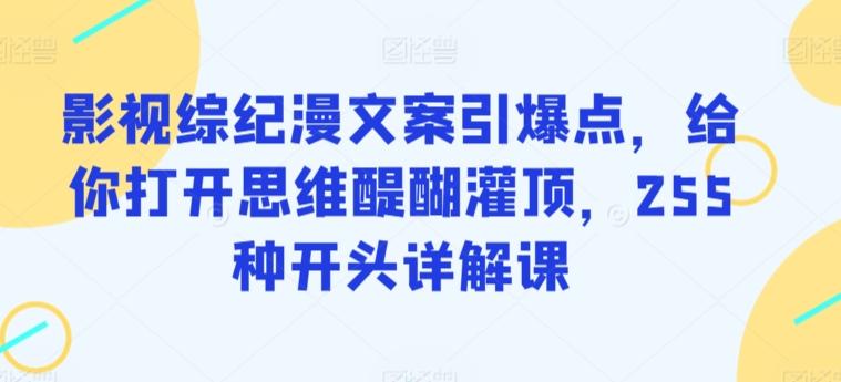 影视综纪漫文案引爆点，给你打开思维醍醐灌顶，255种开头详解课-有道资源网