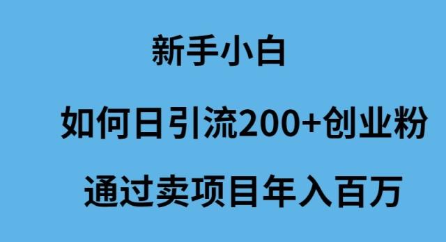 (9668期)新手小白如何日引流200+创业粉通过卖项目年入百万-有道资源网