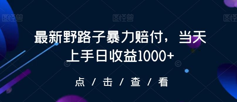 最新野路子暴力赔付，当天上手日收益1000+【仅揭秘】-有道资源网