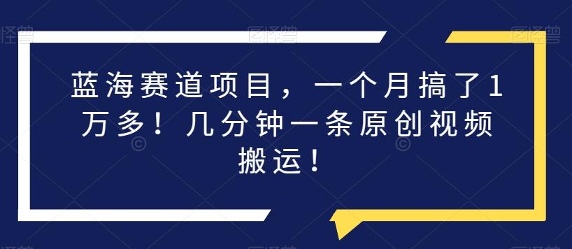 蓝海赛道项目，一个月搞了1万多！几分钟一条原创视频搬运！-有道资源网