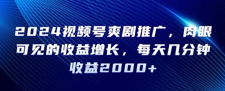 2024视频号爽剧推广，肉眼可见的收益增长，每天几分钟收益2000+【揭秘】-有道资源网