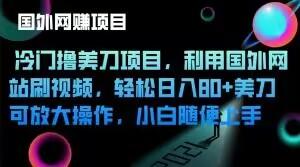 冷门撸美刀项目，利用国外网站刷视频，轻松日入80+美刀，可放大操作，小白随便上手-有道资源网