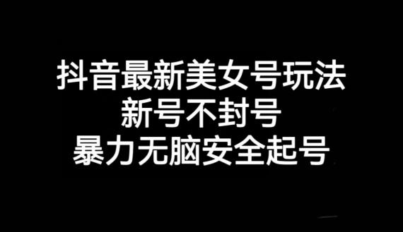 抖音最新美女号玩法，新号不封号，暴力无脑安全起号【揭秘】-有道资源网