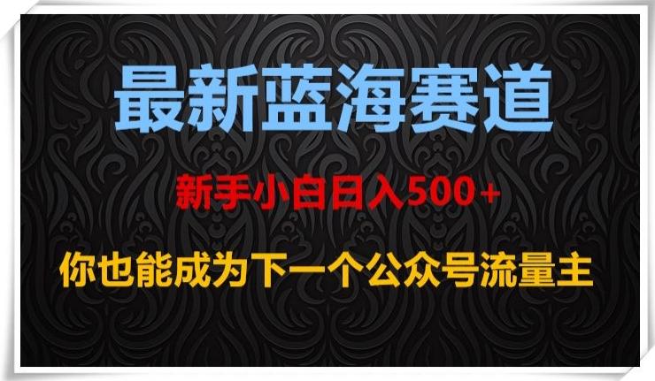 最新蓝海赛道，新手小白日入500+，你也能成为下一个公众号流量主【揭秘】-有道资源网